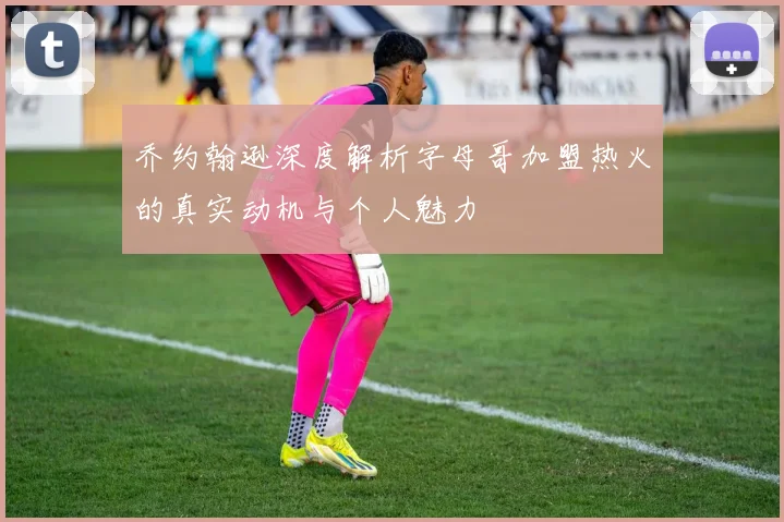 乔约翰逊深度解析字母哥加盟热火的真实动机与个人魅力